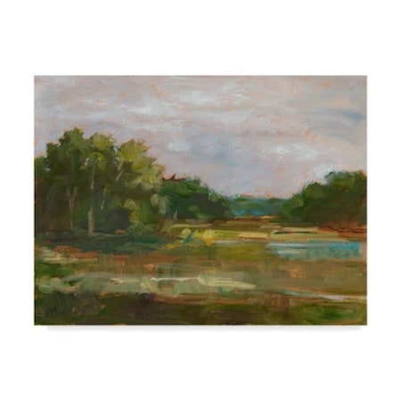 Ethan Harper 'Changing Sunlight Iii' Canvas Art,18x24